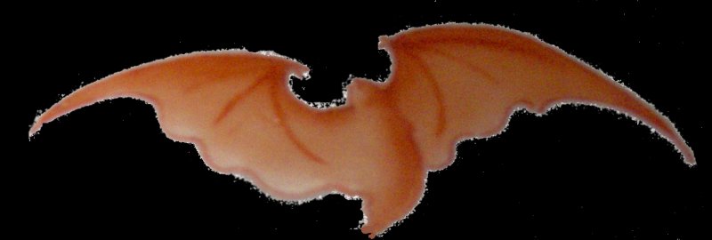 A Plasma Bat